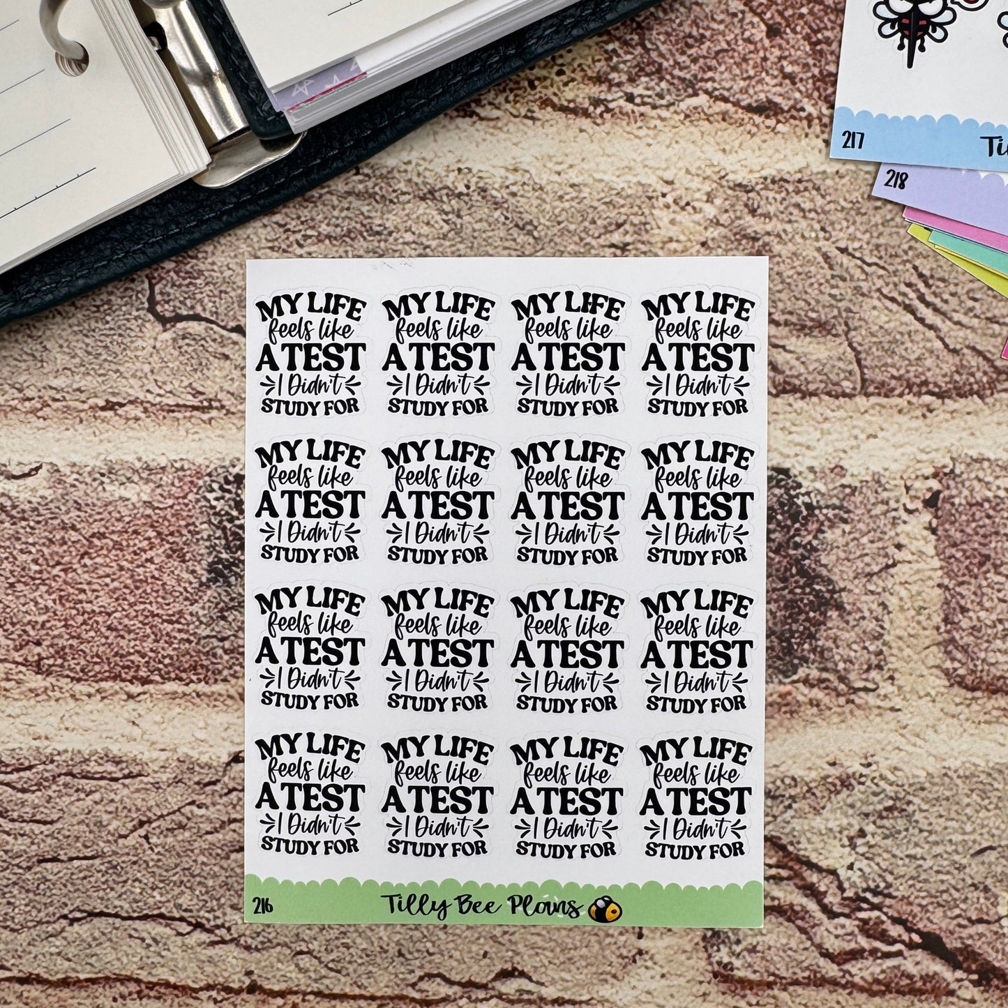 I Didn't Study - 216